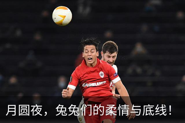 月圆夜，兔兔们的柔情与底线！