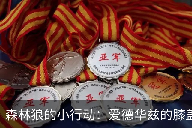 森林狼的小行动：爱德华兹的膝盖大修之旅